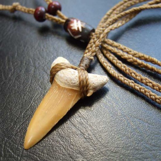 サメの歯化石 ペンダント（3.4cm）【現品】 - STF-160010