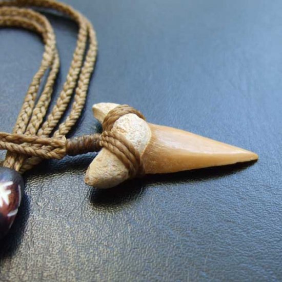 サメの歯化石 ペンダント（3.4cm）【現品】 - STF-160010