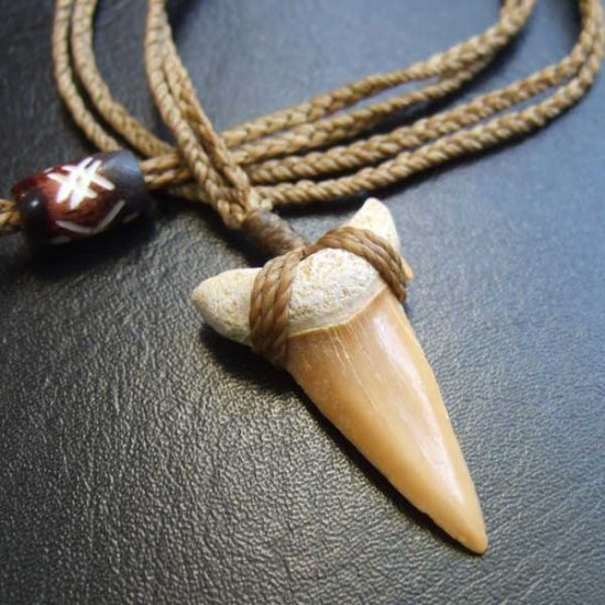 サメの歯化石 ペンダント（3.4cm）【現品】 - STF-160010