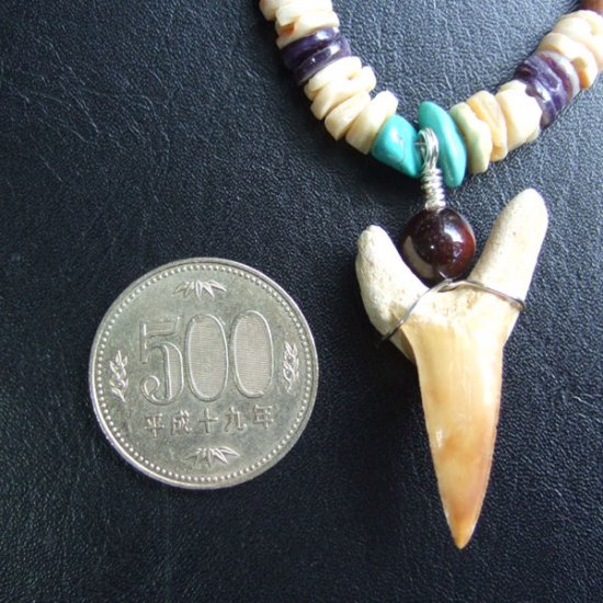 【表示現品】サメの歯化石 ビーズチョーカー - STF-16001