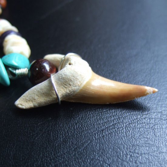 【表示現品】サメの歯化石 ビーズチョーカー - STF-16001