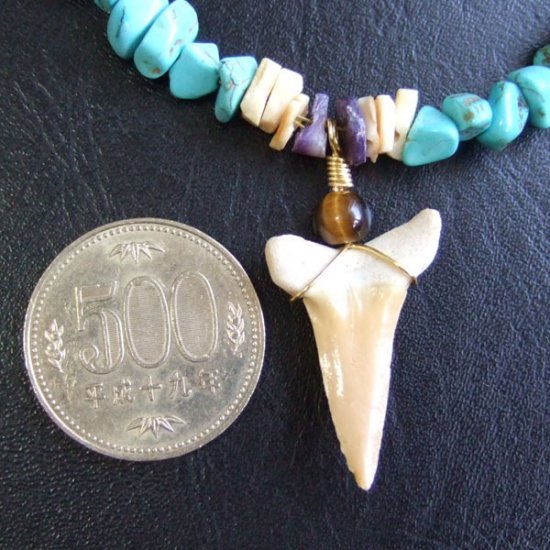 【表示現品】古代シロワニの仲間の歯化石　ビーズブレスレット - STF-16003