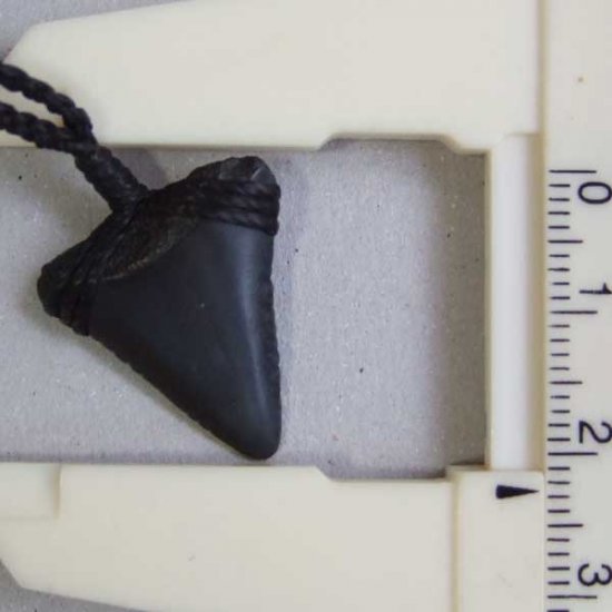 【表示現品】ホホジロザメの歯化石 ペンダント（2.2cm） - STF-16007