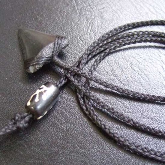 【表示現品】ホホジロザメの歯化石 ペンダント（2.2cm） - STF-16007