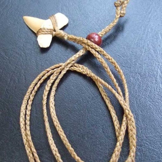 サメの歯化石 ペンダント（2.4cm）【現品】 - STF-16011