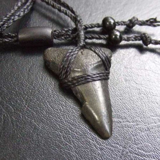 【表示現品】サメの歯化石 ペンダント - STF-16014