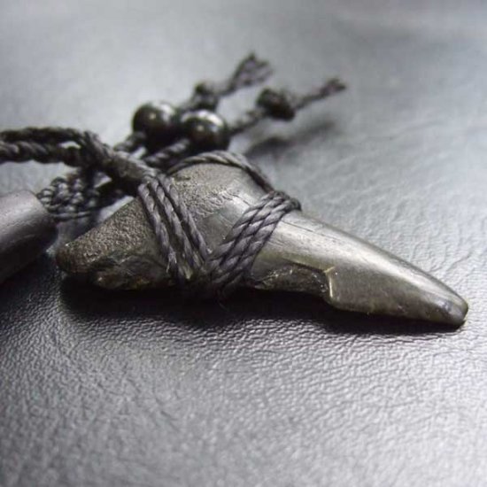 【表示現品】サメの歯化石 ペンダント - STF-16014