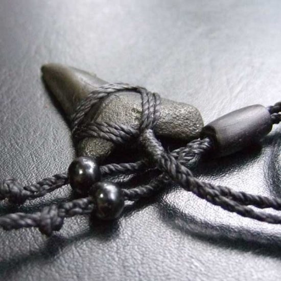 【表示現品】サメの歯化石 ペンダント - STF-16014