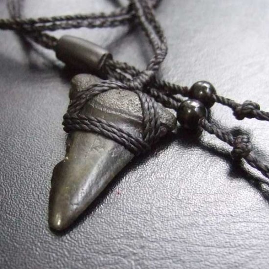 【表示現品】サメの歯化石 ペンダント - STF-16014