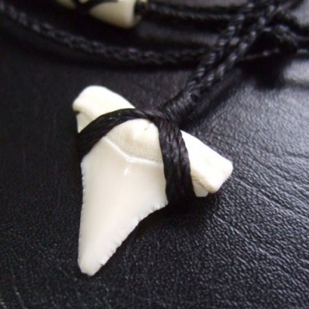【訳あり現品】2.3cm 本物のホホジロザメ（ホオジロザメ） の歯ペンダント - GWP-11025