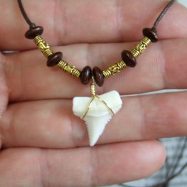 【訳あり現品】ホオジロザメの歯ネックレス 2.0 cm - 20814zhb