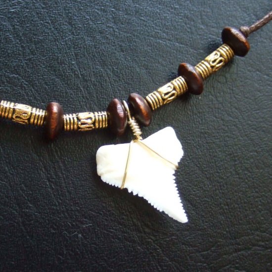 【訳あり現品】ホオジロザメの歯ネックレス 2.0 cm - 20814zhb