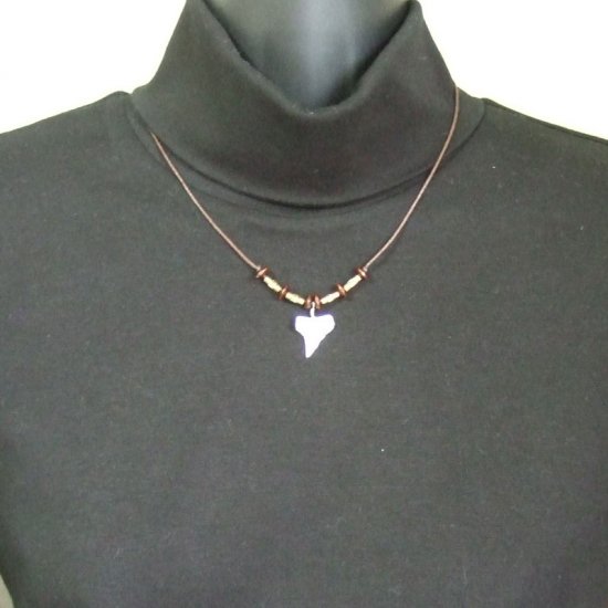 【訳あり現品】ホオジロザメの歯ネックレス 2.0 cm - 20814zhb