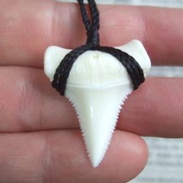 【表示現品】3.3cm 本物のホホジロザメ（ホオジロザメ） の歯ペンダント - 21157zhb