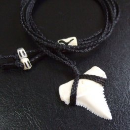 【表示現品】3.0cm 本物のホホジロザメ（ホオジロザメ） の歯ペンダント - 21195zhb