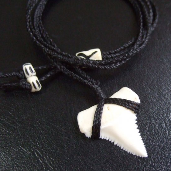 【表示現品】3.0cm 本物のホホジロザメ（ホオジロザメ） の歯ペンダント - 21195zhb