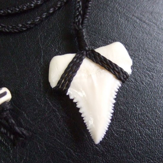 【表示現品】3.0cm 本物のホホジロザメ（ホオジロザメ） の歯ペンダント - 21195zhb