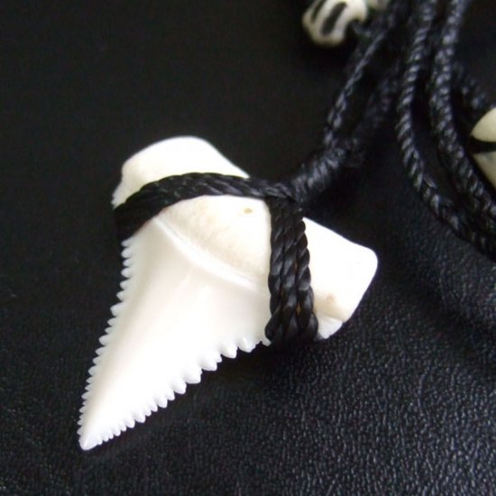 【表示現品】3.0cm 本物のホホジロザメ（ホオジロザメ） の歯ペンダント - 21195zhb