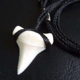 【表示現品】3.3cm 本物のホホジロザメ（ホオジロザメ） の歯ネックレス - GWP11003