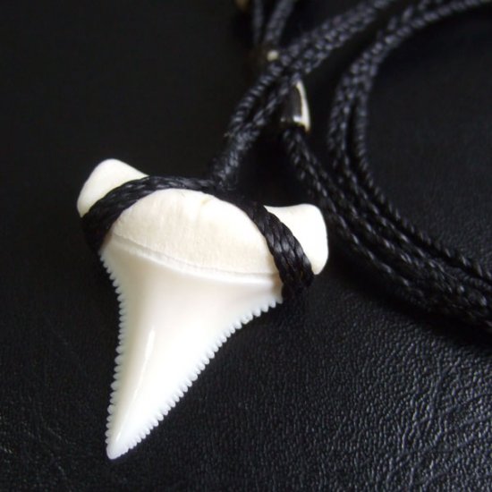 【表示現品】3.3cm 本物のホホジロザメ（ホオジロザメ） の歯ネックレス - GWP11003