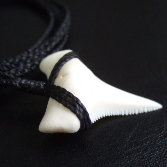 【表示現品】3.3cm 本物のホホジロザメ（ホオジロザメ） の歯ネックレス - GWP11003