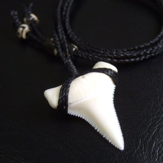 【表示現品】3.3cm 本物のホホジロザメ（ホオジロザメ） の歯ネックレス - GWP11003