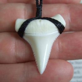 【表示現品】3.3cm 本物のホホジロザメ（ホオジロザメ） の歯ネックレス - GWP11003