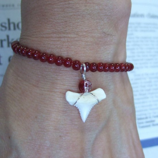 【表示現品】ホオジロザメの歯　ビーズブレスレット - GWN-15001