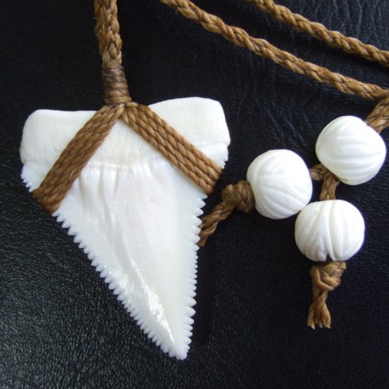 【表示現品】4.4cm 本物のホホジロザメ（ホオジロザメ） の歯ネックレス - GWP-11009