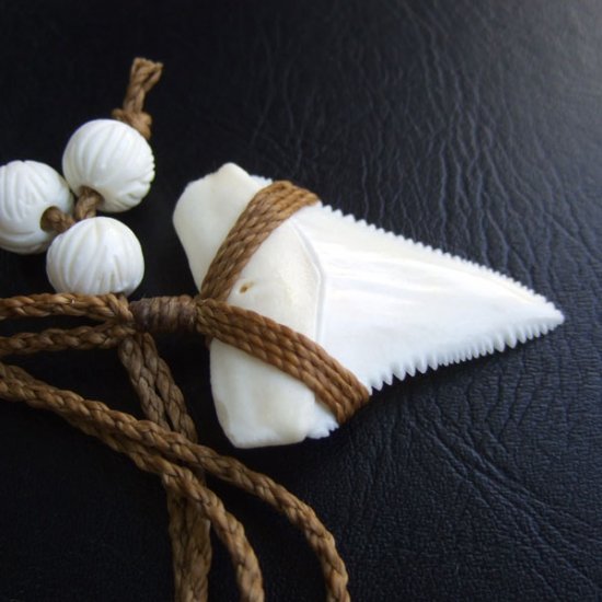 【表示現品】4.4cm 本物のホホジロザメ（ホオジロザメ） の歯ネックレス - GWP-11009