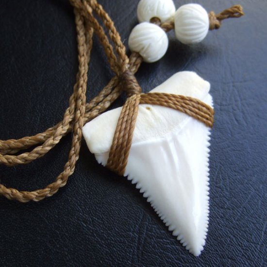 【表示現品】4.4cm 本物のホホジロザメ（ホオジロザメ） の歯ネックレス - GWP-11009