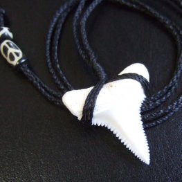 【表示現品】3.5cm 本物のホホジロザメ（ホオジロザメ） の歯ネックレス - GWP-11020