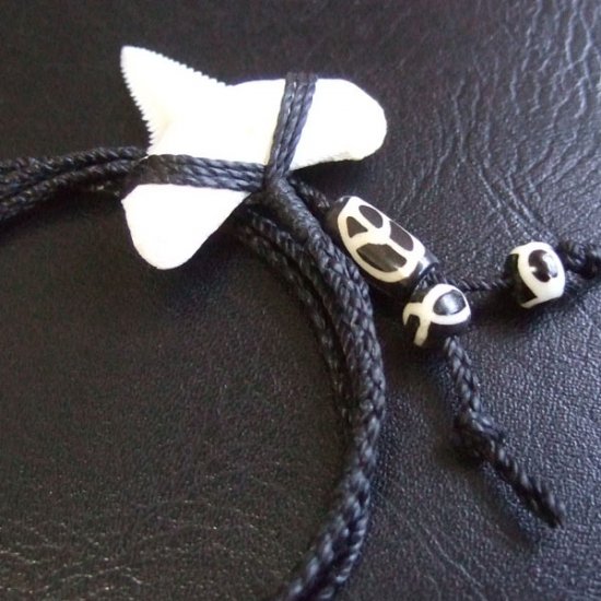 【表示現品】3.5cm 本物のホホジロザメ（ホオジロザメ） の歯ネックレス - GWP-11020