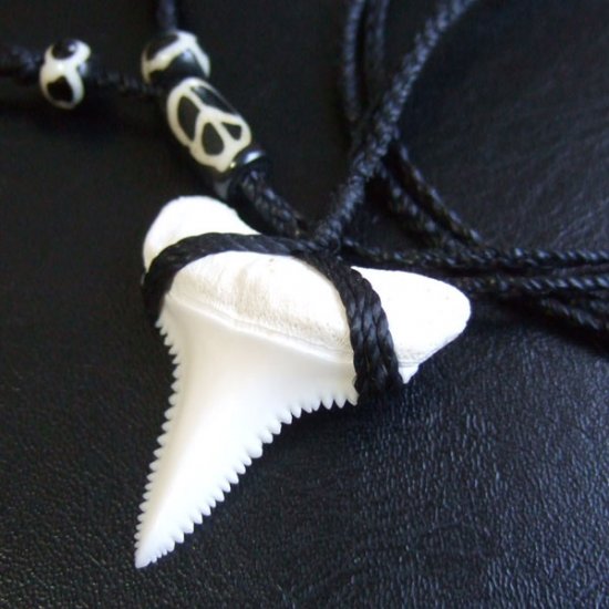 【表示現品】3.5cm 本物のホホジロザメ（ホオジロザメ） の歯ネックレス - GWP-11020