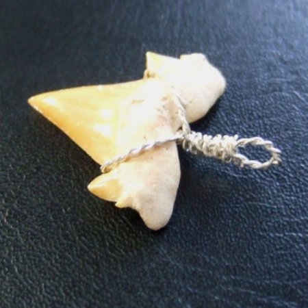 本物のサメの歯（化石）ペンダント【現品】 - 30118esa