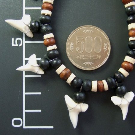 本物のサメの歯ネックレス - 20057esw