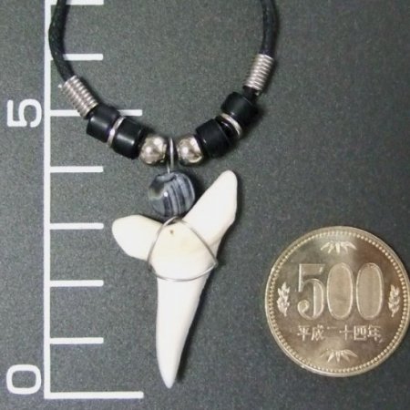 【大型 現品】3.9cm マコシャーク　本物のサメの歯ペンダントネックレス - 20070zhb