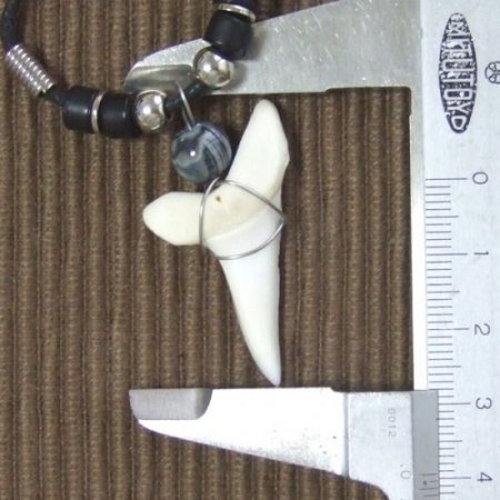 【大型 現品】3.9cm マコシャーク　本物のサメの歯ペンダントネックレス - 20070zhb