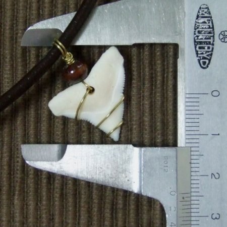 メジロザメ サメの歯チョーカー（約2.4cm） 茶色- 20085zhb