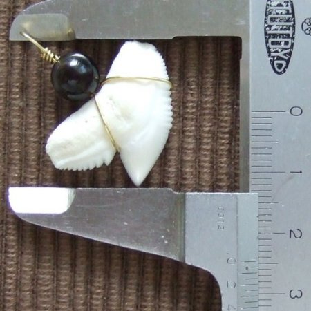 【現品】イタチザメ（タイガーシャーク）の歯チョーカー 2.5 cm - 20151zhb