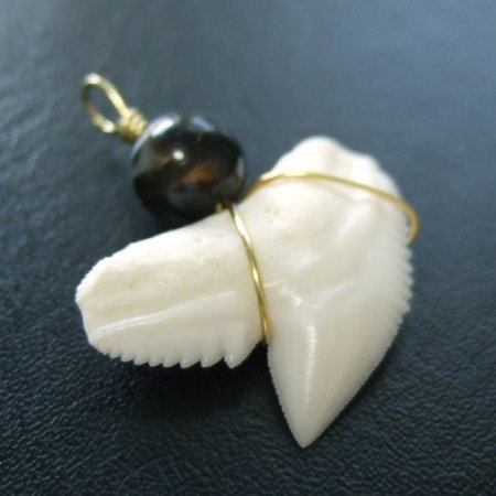 【現品】イタチザメ（タイガーシャーク）の歯チョーカー 2.5 cm - 20151zhb