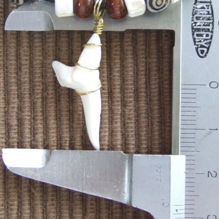 アオザメの歯（約2.7cm）ボーンビーズネックレス - 20185zhc