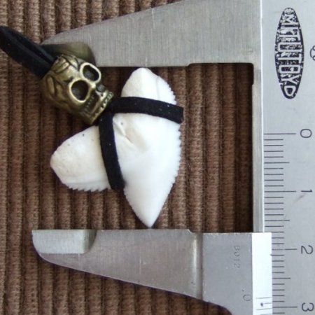 【表示現品】2.8cm イタチザメ（タイガーシャーク）の歯ペンダント - 20288zhb