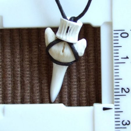 メジロザメの歯 サメの歯ネックレス（約2.4cm） - 20408zhb