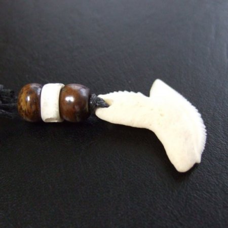 【表示現品】」イタチザメ（タイガーシャーク）の歯ペンダント 2.6 cm - 20436zhb