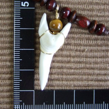 【表示現品】アオザメの歯（約3.7cm）ネックレス - 20585zhb