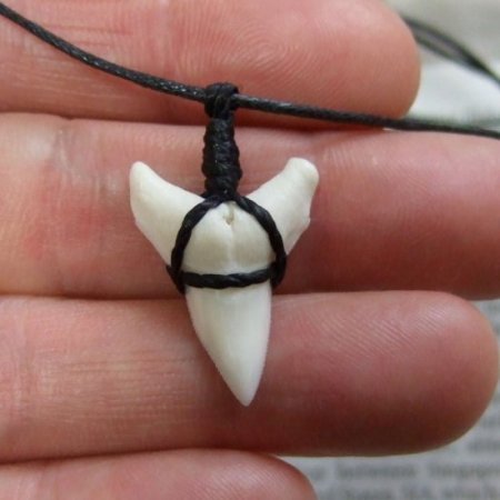 【表示現品】オオメジロザメの歯コードネックレス（下あごの歯・大） - 20705zhb