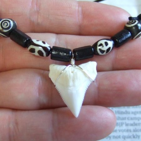 【訳あり現品】オオメジロザメの歯（上あご）ネックレス - 20750zhb