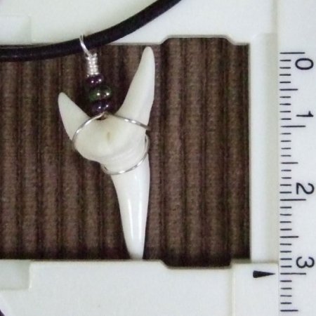 【表示現品】アオザメの歯（約3.1cm）ペンダント - 20764zhb