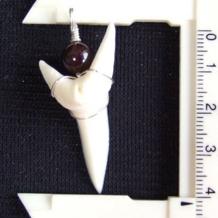 【表示現品】4.1cm アオザメ の歯メノウビーズ ペンダント - 20866zhb